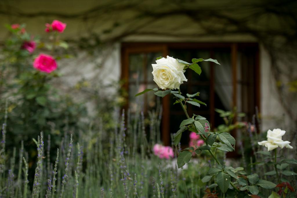 Grace Guest House Johannesburg Kültér fotó