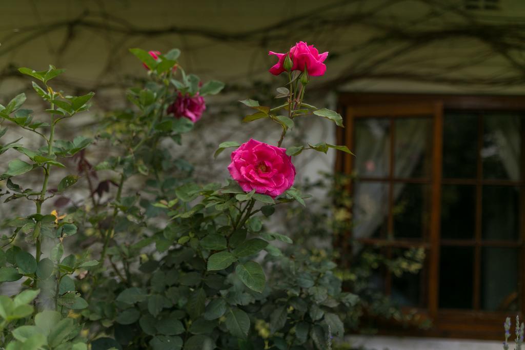 Grace Guest House Johannesburg Kültér fotó