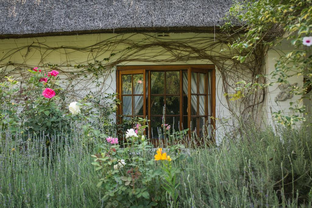 Grace Guest House Johannesburg Kültér fotó